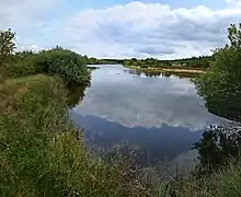 Blick auf den Langen Teich