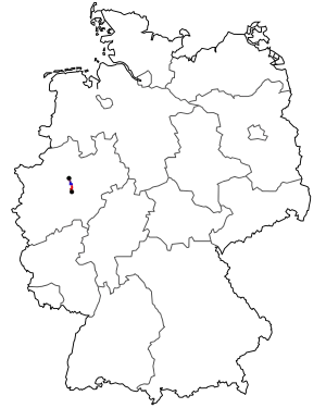 Verlauf der B 233