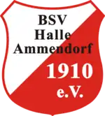 Logo BSV Halle-Ammendorf