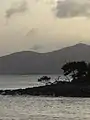 Mangrovenstrand