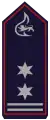 Abteilungskommandant / Stellv. Feuerwehrkommandant (hier als Oberbrandmeister im Ehrenamt)