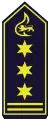 Stellv. Feuerwehrkommandant (als BrD)