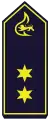 Oberbrandrat (A14)