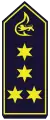 Leitender Branddirektor (A 16)