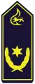 Stadtdirektor (B 3)