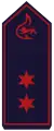 Oberfeuerwehrmann