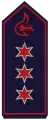 Hauptlöschmeister