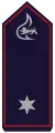 Brandmeister