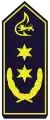 Stadtdirektor (B 4)