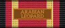 ARABIAN LEOPARD