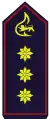 Kreisfeuerwehrverbandsvorsitzender
