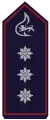 Stellv. Kreisfeuerwehrverbandsvorsitzender