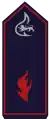 Stellv. Kreisjugendfeuerwehrwart