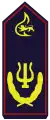 Landesstabführer