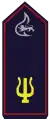 Mitglied im AK Musik des LFV