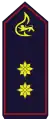 Mitglied im Landesfeuerwehrverbandsvorstand (Fachgebietsleiter des Landesfeuerwehrverbands 
können alternativ die eingeführten 
Fachberatersymbole in Gold führen)