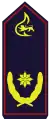 Vizepräsident des Landesfeuerwehrverbandes