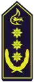 Landesbranddirektor