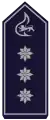 Stellv. Kreisbrandmeister