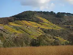Der Grainberg im Herbst