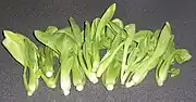 Pak Choi (auch als Mini)