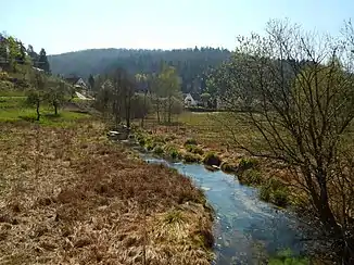 Salzbach bei Salzwoog westlich des Teufelstischs