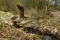 Bachlauf unterhalb von Haus Wildenrath