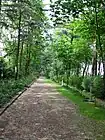 Der Weg rauf zum Kalvarienberg, links die Kreuzwegstationen, rechts die 14 Nothelfer