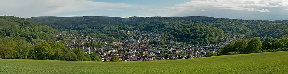 Blick über die Stadt vom Salmünsterer Berg