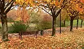 Im herbstlichen Kurpark