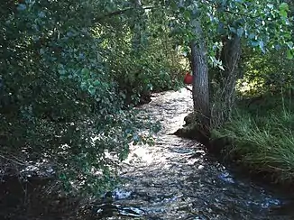 Der Fischbach (Badische Eschach) in Horgen