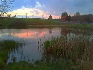 Der Teich kurz vor Sonnenuntergang