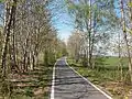 Kohlebahnradweg in Ursprung (2016)