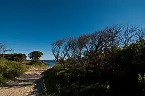 Der Strandbereich Bakers Beach