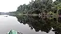 Fluss Nyong