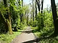 Radweg bei Keszthely