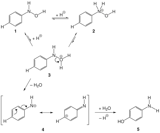 Reaktionsmechanismus der Bamberger-Umlagerung