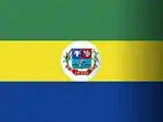 Flagge von Crixás