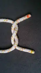 Das Bild 2 von oben um 90° im UZS gedreht.Ein „Z“ geschlagener Halber Knoten (Man betrachte die Stelle, an der ein Seil in der Mitte über das andere geht. Das Seil mit gelbem Ende zeigt den Buchstaben Z).