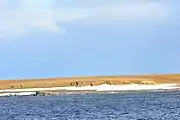 Barents-Bucht: Region, wo sich vermutlich das Grab von Willem Barents befindet