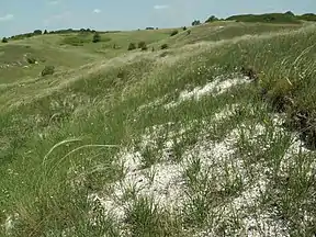 Steppe im Teilareal Barkalovka