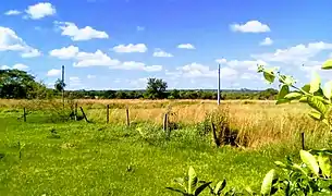 Am Stadtrand von Ypané