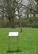 Baum der Verständigung