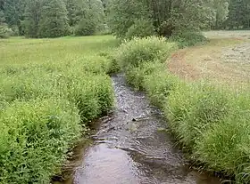 Bayerische Schwarzach im Lenkenthal