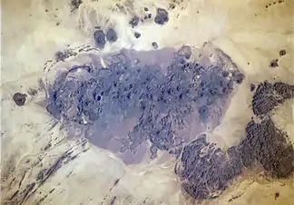 Bayuda-Vulkanfeld