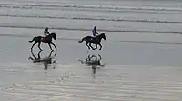 Traditionelles Weihnachts-Pferderennen am Strand von Ballyheigue