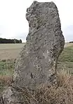 Megalith von Pont Champion