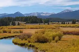 Blick auf einen Teil des National Forest