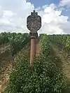 Beckstein: Walldürner Blutbild