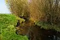 Der Beeckbach in der Natur